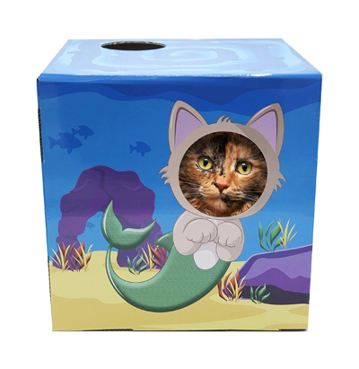 cardboard cat houses