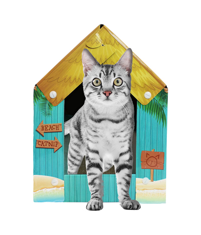 cardboard cat houses