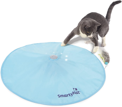 interactive cat toys