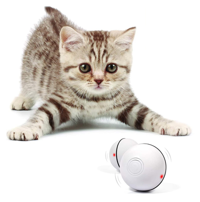 interactive cat toys