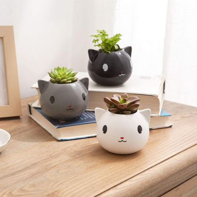 Cat Planters And Plant Pots