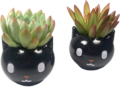 Cat Planters And Plant Pots