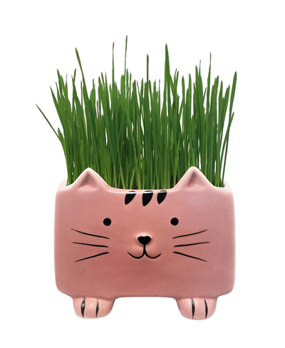 Cat Planters And Plant Pots