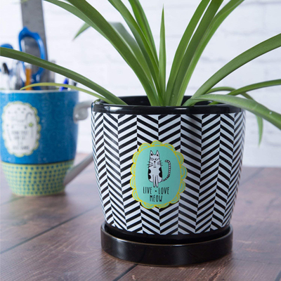 Cat Planters And Plant Pots