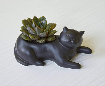 Cat Planters And Plant Pots