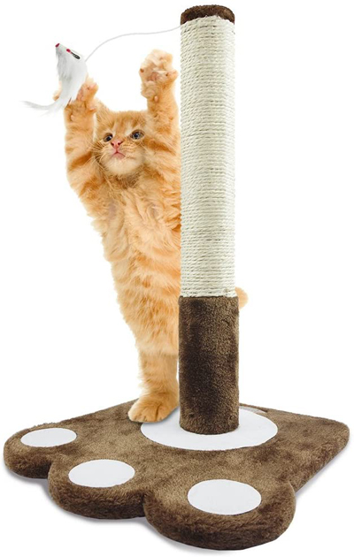 Unique Scratching Posts Your Cat Will Love! – Meow As Fluff