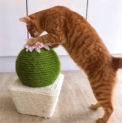 unique scratching posts for cats