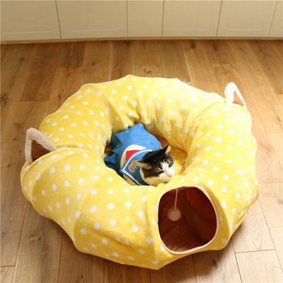 cat tunnels inside