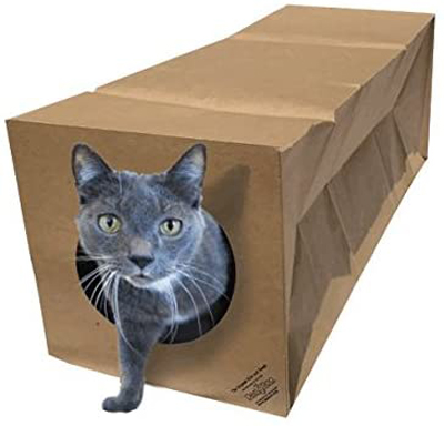 Unique Cat Tunnels Your Kitty Will Love! – Meow As Fluff