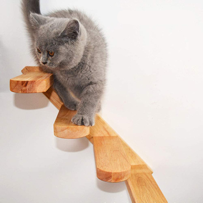 Wall Mounted Cat Shelves And Perches That Are Perfect For Small Spaces ...