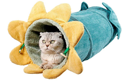 Unique Cat Tunnels