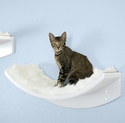Wall Mounted Cat Shelves And Perches