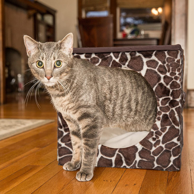 Cat Bed Ottomans And Foot Stools