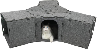 Unique Cat Tunnels
