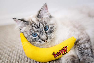Fun Food And Drink Inspired Catnip Toys