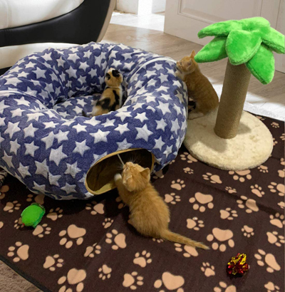 Unique Cat Tunnels
