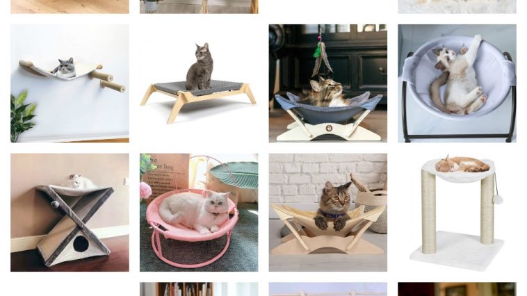 cat hammocks feature
