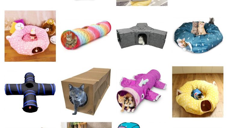 unique cat tunnels feature