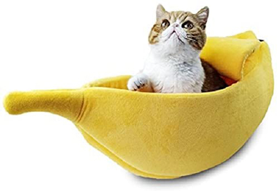 food cat beds