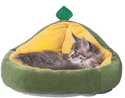 food cat beds