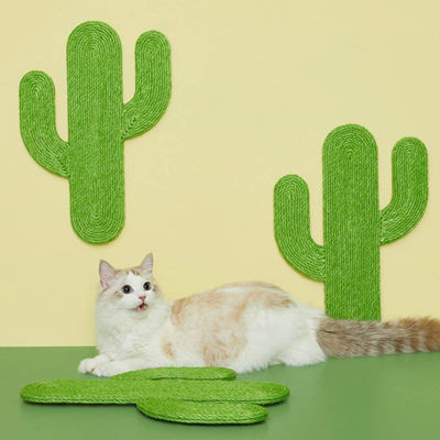 cactus cat toy