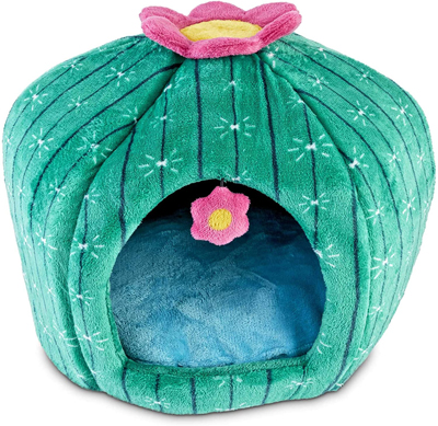 cactus cat scratching posts beds and toys