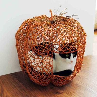 Food Inspired Cat Beds, Mats, And Caves