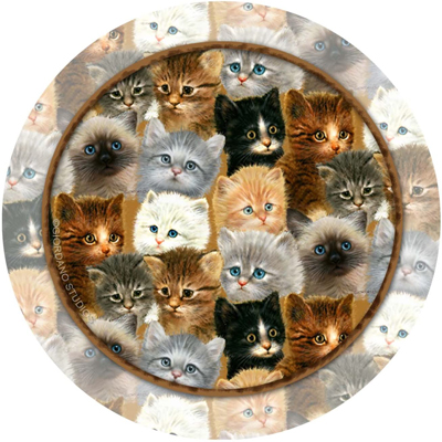 Cat Coasters
