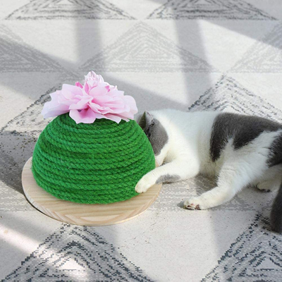 cactus cat scratching posts beds and toys