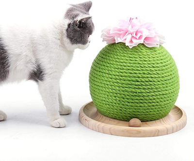 cactus cat scratching posts beds and toys