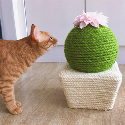 cactus cat scratching posts beds and toys