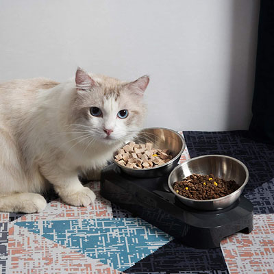 Raised And Elevated Food And Water Bowls For Cats