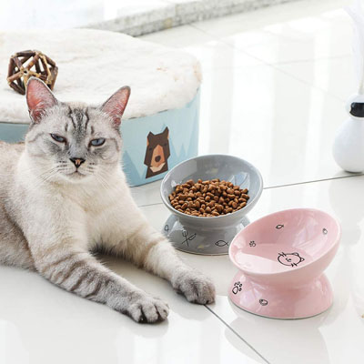 SWEEJAR Cat Food Bowls with Non-Slip Stand, Ceramic Raised Cat