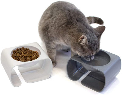 Raised And Elevated Food And Water Bowls For Cats