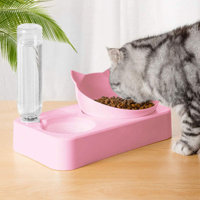 Raised And Elevated Food And Water Bowls For Cats