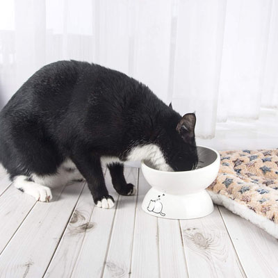 Raised And Elevated Food And Water Bowls For Cats