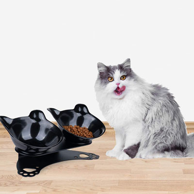 Raised And Elevated Food And Water Bowls For Cats