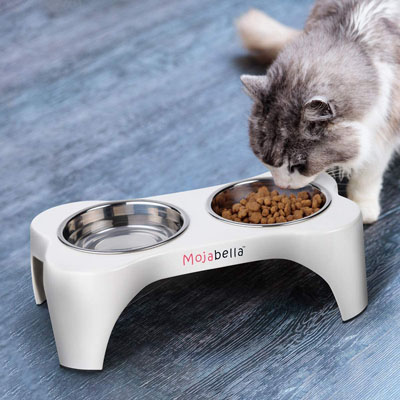 Raised And Elevated Food And Water Bowls For Cats
