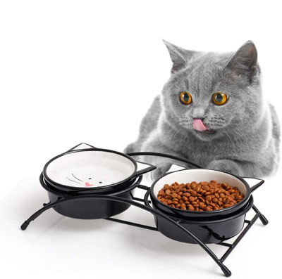 Raised And Elevated Food And Water Bowls For Cats