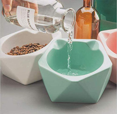 Raised And Elevated Food And Water Bowls For Cats