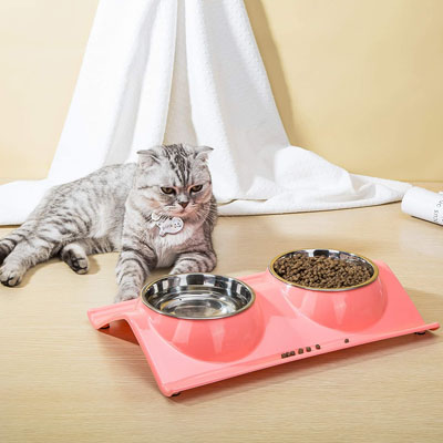 Raised And Elevated Food And Water Bowls For Cats