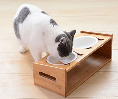 Raised And Elevated Food And Water Bowls For Cats