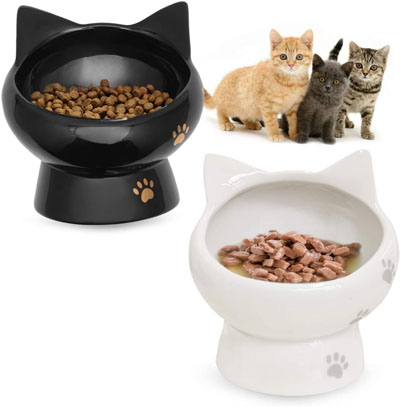 Raised And Elevated Food And Water Bowls For Cats