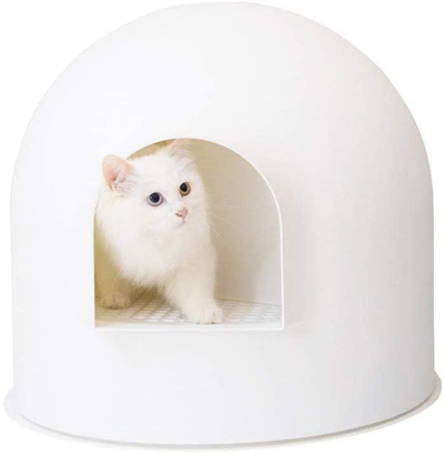 Stylish And Fun Litter Boxes