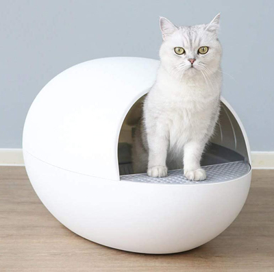 Stylish And Fun Litter Boxes