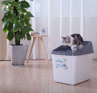 Top Entry Litter Boxes