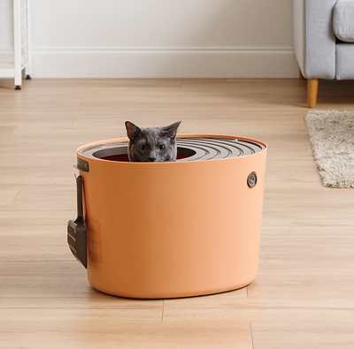 Stylish And Fun Litter Boxes