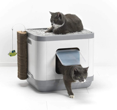 Stylish And Fun Litter Boxes