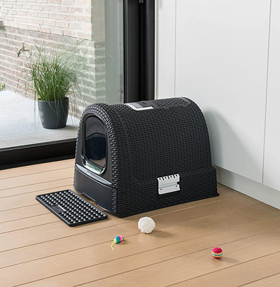 Stylish And Fun Litter Boxes