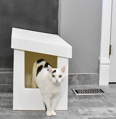 Stylish And Fun Litter Boxes